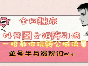 抖音图文矩阵引流,一招教你玩转公域流量。单号半月涨粉10W+-常盈社-官方网站