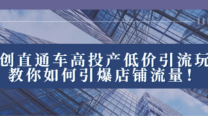 原创直通车高投产低价引流玩法-常盈社-官方网站