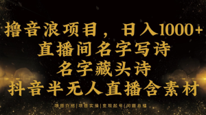 直播间用名字写诗,名字藏头诗,抖音半无人直播,撸音浪暴利项目,日入1000+-常盈社-官方网站
