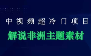 中视频超级冷门项目,解说非洲主题素材,手把手教程,日入1000+-常盈社-官方网站