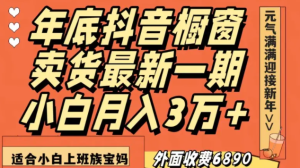 最新一期抖音橱窗卖货,小白轻松月入3万+-常盈社-官方网站