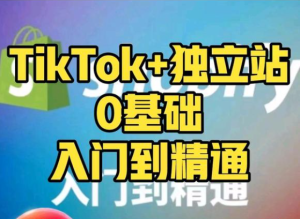 tiktok+独立站0基础入门到精通-常盈社-官方网站