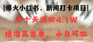 新闻打卡项目,小红书40天涨粉4.1W,高客单精准粉,变现能力超强-常盈社-官方网站