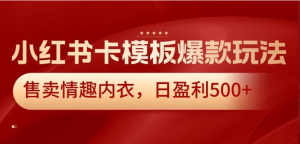 小红书卡模板爆款玩法,售卖情趣内衣,日盈利500+-常盈社-官方网站