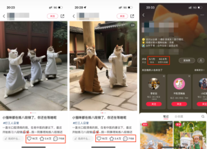 小红书AI萌宠快速涨粉售卖宠物粮玩法-常盈社-官方网站