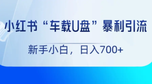 音乐流量变现!车载U盘项目,小红书上手即赚-常盈社-官方网站