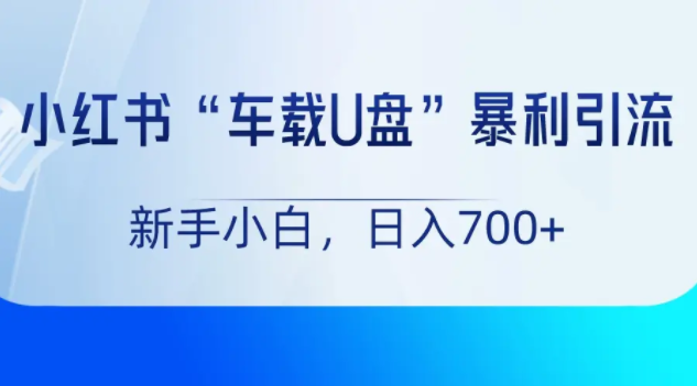 图片[1]-音乐流量变现！车载U盘项目，小红书上手即赚-常盈社-官方网站