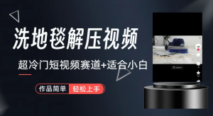 超冷门抖音赛道-清洗地毯解压视频-简单无脑怼作品-常盈社-官方网站