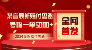 全网首发2024最新抖音赔付暴力拆解-常盈社-官方网站