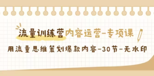 流量训练营之内容运营-专项课,用流量思维策划爆款内容-30节-常盈社-官方网站
