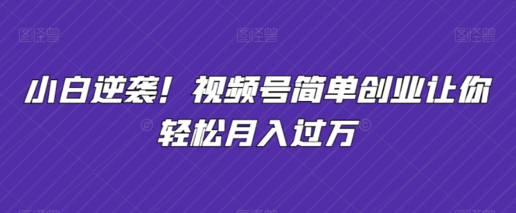 图片[1]-小白逆袭！视频号简创业让你轻松月入过万！-常盈社-官方网站