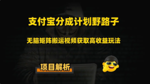 支付宝分厂计划骚操作教程,快速开通分成计划-常盈社-官方网站