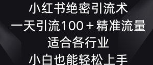 小红书绝密引流术，一天引流100+精准流量，适合各个行业，小白也能轻松上手-常盈社-官方网站