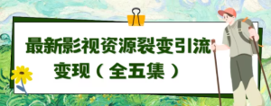 利用影视资源流量变现课程-常盈社-官方网站