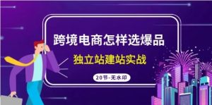 跨境电商怎么选爆品,独立站建站实战(20节高清无水印课)-常盈社-官方网站