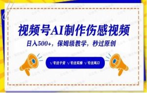 视频号AI制作伤感视频,日入500+,保姆级教学-常盈社-官方网站