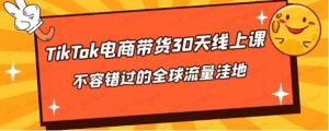 TikTok电商带货30天线上训练营-常盈社-官方网站
