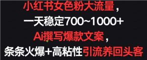 小红书女色粉大流量,一天稳定700-1000+,AI撰写爆款文案,条条火爆-常盈社-官方网站