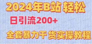 2024年B站轻松日引流200+的全套暴利干货实操教程-常盈社-官方网站