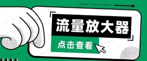 流量放大器，抖音公私域变现+soul私域轰炸器【揭秘】-常盈社-官方网站