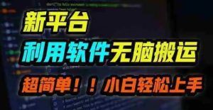 新技术用软件无脑搬运，平台红利多重收益，月赚万元，小白也能轻松上手-常盈社-官方网站
