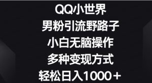 QQ小世界男粉引流野路子，小白无脑操作，多种变现方式轻松日入1000+-常盈社-官方网站