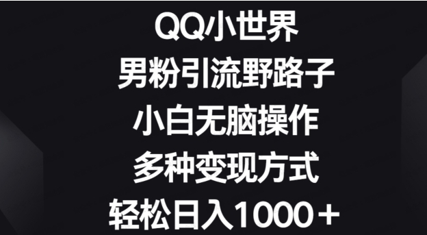 QQ小世界男粉引流野路子，小白无脑操作，多种变现方式轻松日入1000+