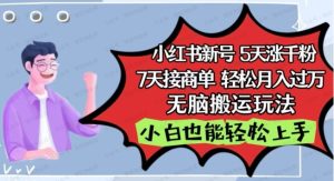 小红书影视泥巴追剧玩法，5天涨千粉，7天接商单，轻松月入过万，无脑搬运，小白也能轻松上手-常盈社-官方网站