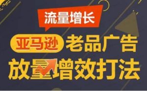 亚马逊流量增长-老品广告放量增效打法-常盈社-官方网站