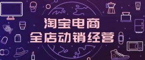 淘系电商全店动销经营模式特训营，线下课录音+文档资料-常盈社-官方网站