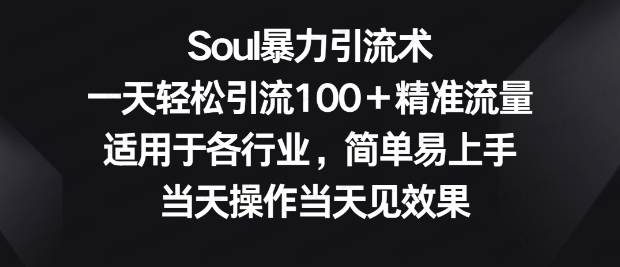 soul暴力引流术，一天轻松引流100+精准流量，适用于各行业，简单易上手，当天操作