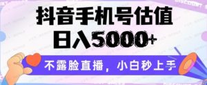 抖音手机号估值，日入5000+不露脸直播，小白秒上手-常盈社-官方网站
