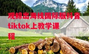 观鲸出海线国际版抖音tiktok上教学课程-常盈社-官方网站