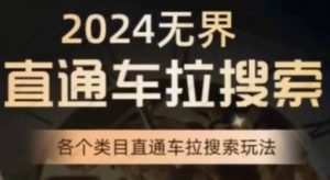 无界直通车拉搜索系统课-常盈社-官方网站