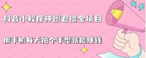 2024最新抖音神图君3.0版本，日入1000+保姆级教程，小白专属-常盈社-官方网站