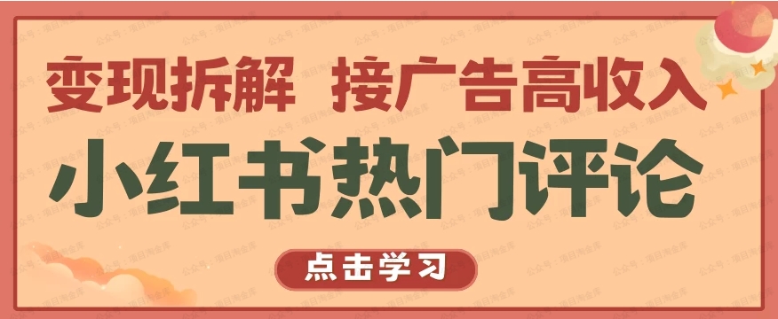小红书热门评论，变现拆解，接广告收入