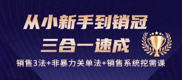 从小新手到销冠，三合一速成，销售3法+非暴力关单法+销售系统挖需课