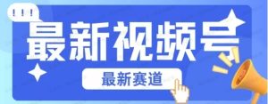 视频号全新赛道,碾压市面混剪玩法-常盈社-官方网站