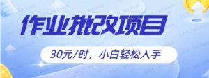批改作业项目,30元时,简单容易上手,适合宝妈,大学生-常盈社-官方网站