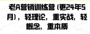 老A营销训练营（更24年5月）轻理论，重实战，轻概念，重本质-常盈社-官方网站