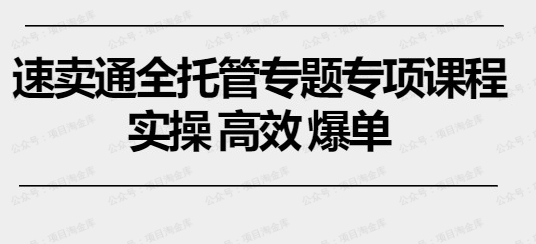 速卖通全托管专题专项课程