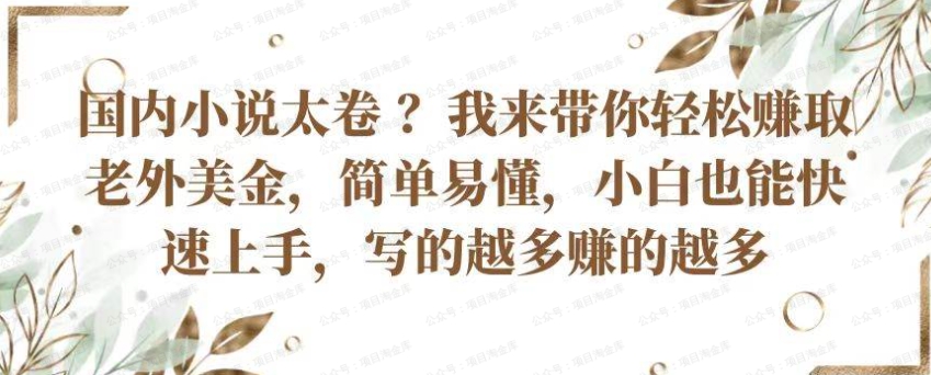 国内小说太卷，来带你轻松赚取来外美金，简单易懂，小白也能快速上手