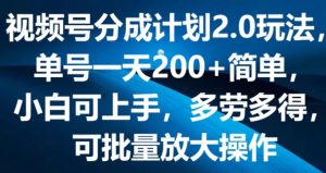 视频号分成计划2.0玩法，单号一天200+简单，小白可上手，多劳多得-常盈社-官方网站
