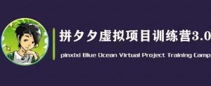 拼多多虚拟变现3.0-常盈社-官方网站
