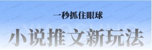 小说推文全新玩法,一秒抓住眼球,让你在内卷中脱颖而出-常盈社-官方网站