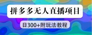 拼多多价值2980元无人直播落地项目资料-常盈社-官方网站