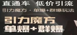 【无界】直通车 三大计划玩法-常盈社-官方网站