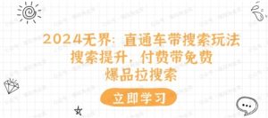 冰可乐2024无界:直通车带搜索玩法-常盈社-官方网站