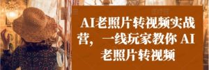 AI老照片视频变现训练营SOP-常盈社-官方网站