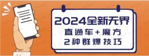 冰可乐2024 直通车+魔方:2种群爆玩法-常盈社-官方网站